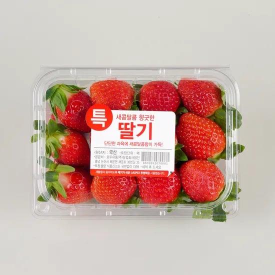 딸기 500g 팩