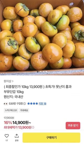 부유단감 10kg