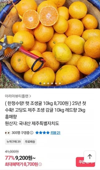 조생귤 대과 10kg