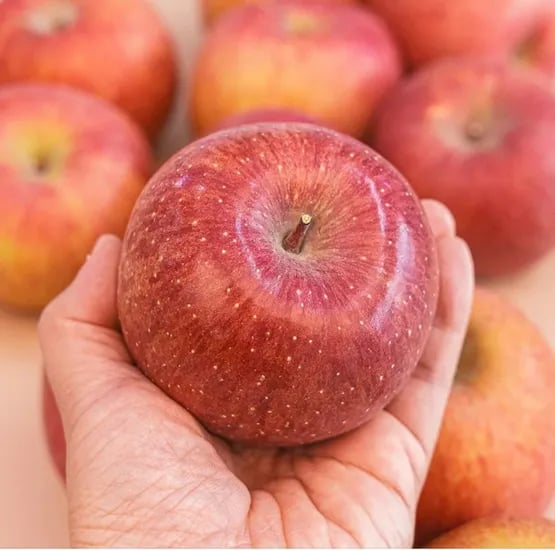 부사 사과 2kg 특대과 (6~7과)