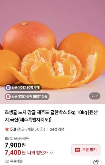 제주 조생감귤 5kg