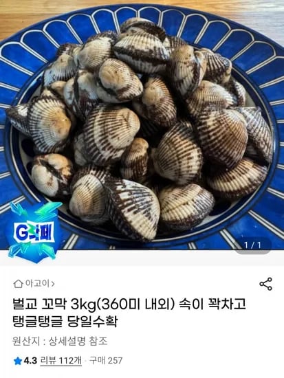 벌교 꼬막 3kg