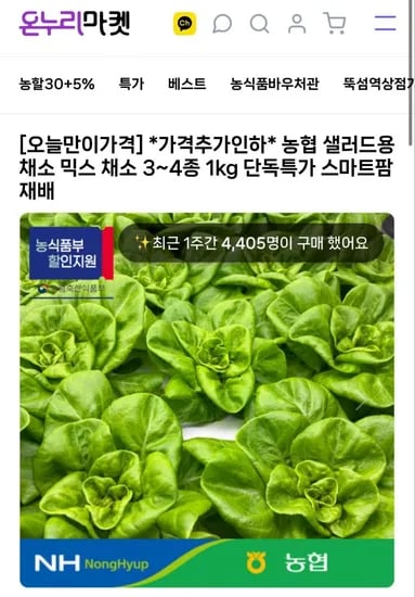 유러피언 샐러드 4종 1kg