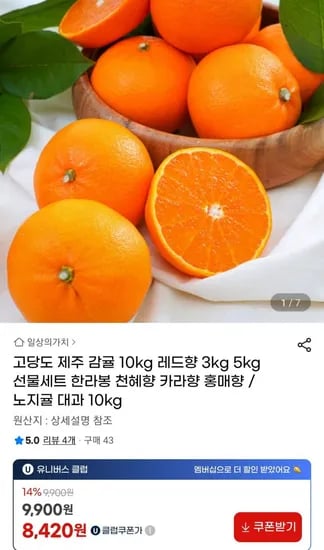 고당도 제주감귤 10kg 대과