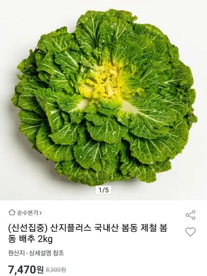 국내산 봄동 배추 7.47kg