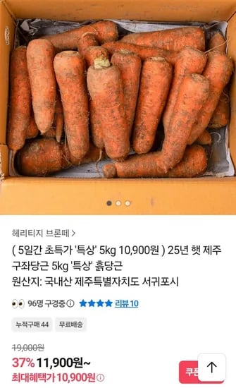 제주 햇 구좌당근 특 5kg