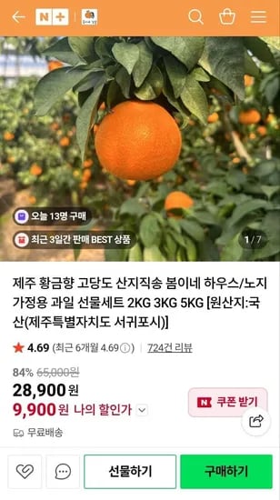 제주 고당도 황금향 꼬마과 9.9kg