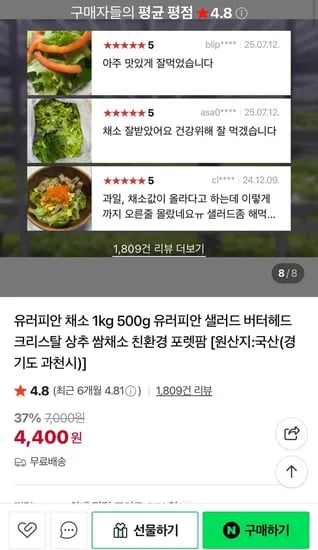 유러피안 샐러드채소 1kg