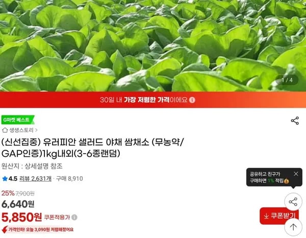 유러피안 쌈채소 1kg내외