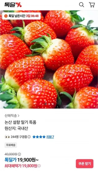 논산 설향 딸기 특품 700g