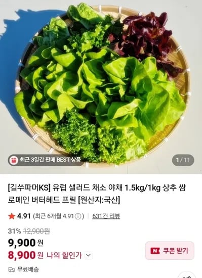 유럽 샐러드 채소 5종 0.5kg