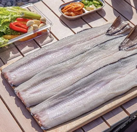 자포니카 민물장어 초벌장어 외 다양