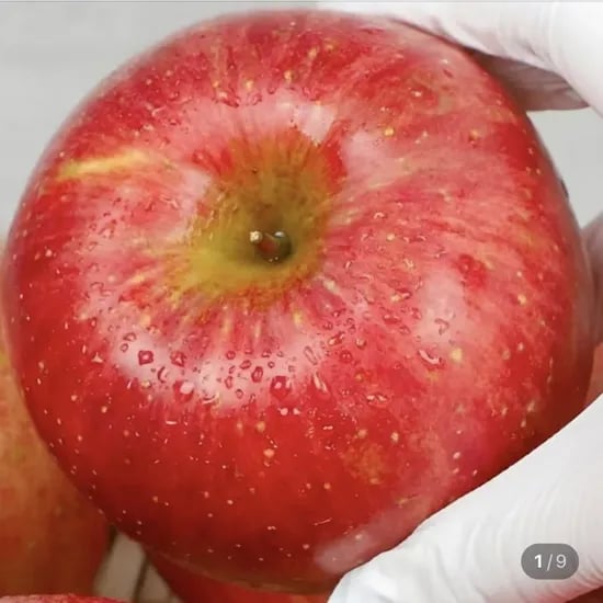 부사사과 2.5kg