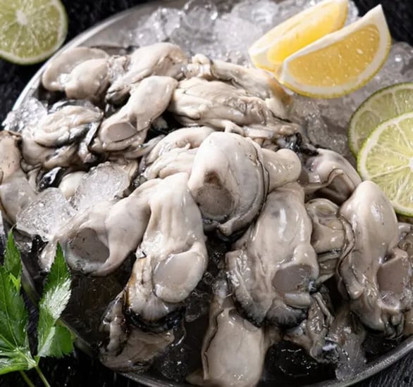 통영 생굴 2kg