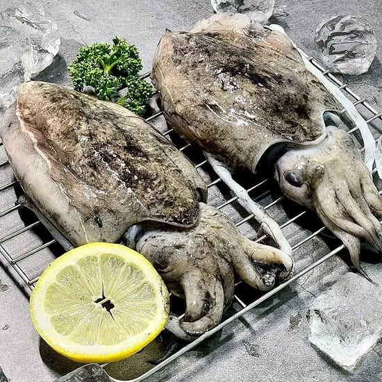 태안 신진도 제철 생물 갑오징어 1kg