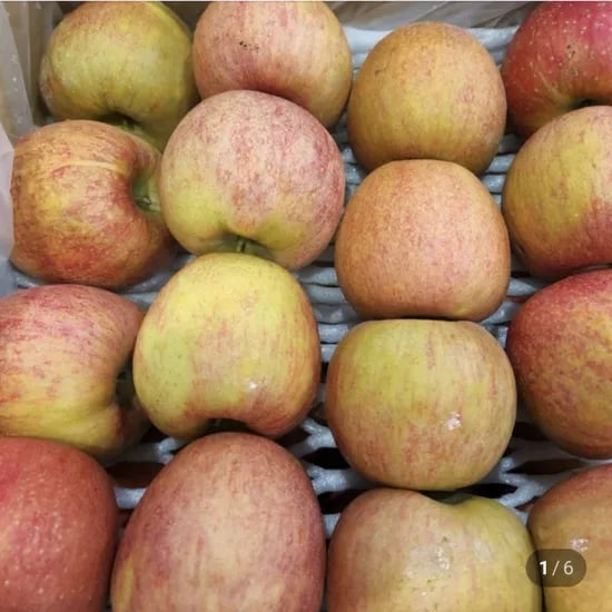 햇부사 5kg 가정용 랜덤과