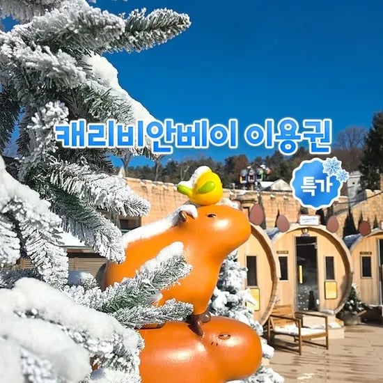 캐리비안베이 종일권 콤비권