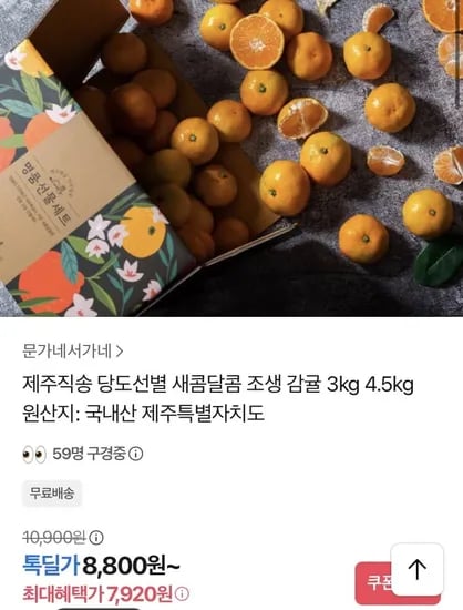 제주직송 조생감귤 3kg 중대과