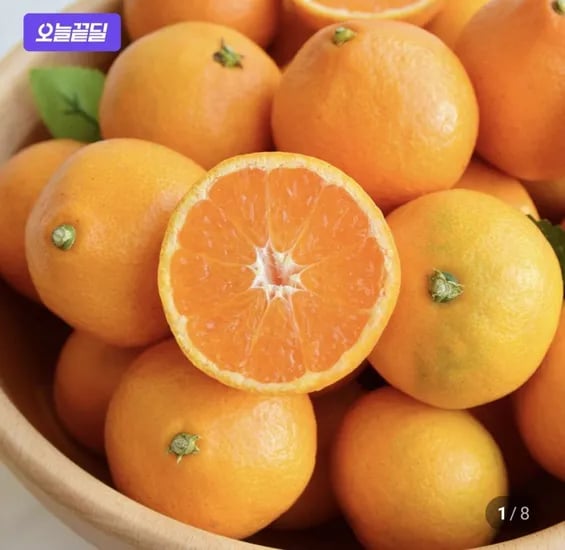 제주 서귀포 타이벡 감귤 노지 조생 4.5kg