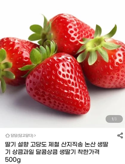 설향 딸기 500g