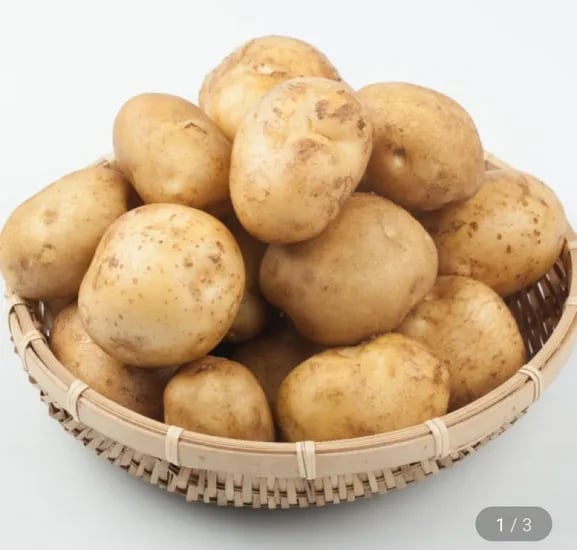 국내산 햇 수미감자 대 5kg