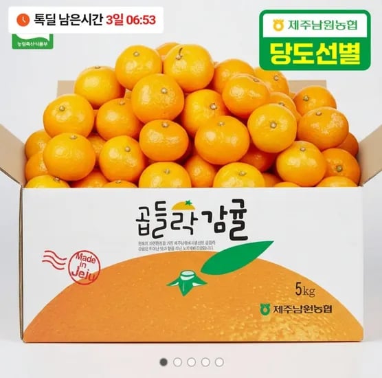 노지감귤 중대과 4.5kg