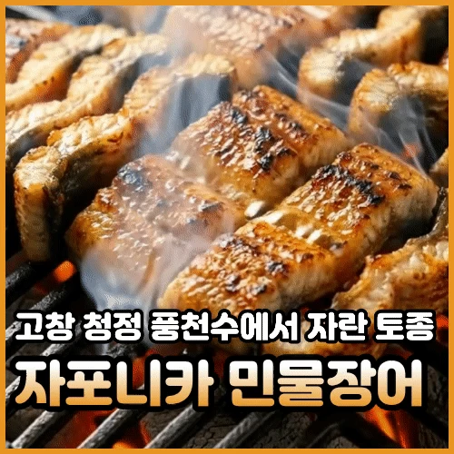 고창 자포니카 민물장어 손질후 700g 세트