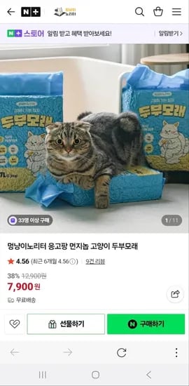 고양이 두부모래 7L 3팩