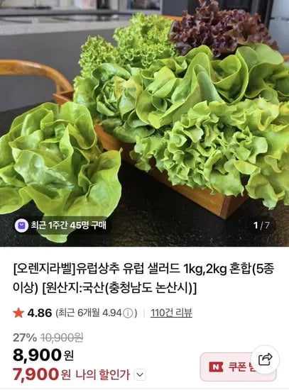 유럽 상추 샐러드 5종 2kg