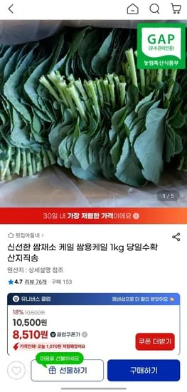 GAP 케일 1kg