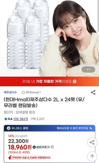 삼다수 2L 24개입