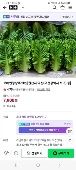 로메인청상추 2kg