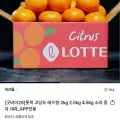 정제할 상품명을 입력해 주세요. 입력해 주시면 설정하신 규칙에 따라 즉시 정제해 드리겠습니다.