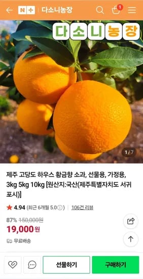 제주 하우스 황금향 소과 가정용 선물용