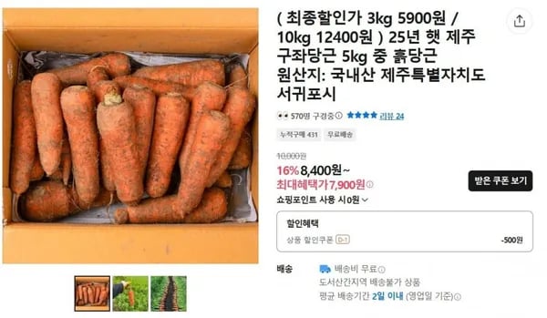 제주 구좌당근 흙당근 3kg 중