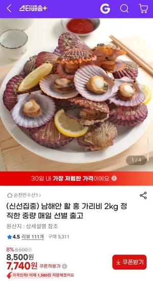 남해안 활 홍 가리비 2kg