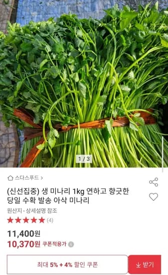 생 미나리 1kg
