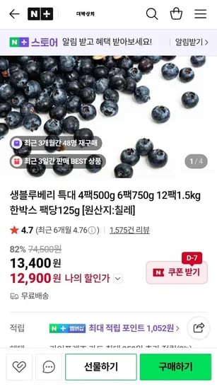 생 블루베리 특대 125g 4팩