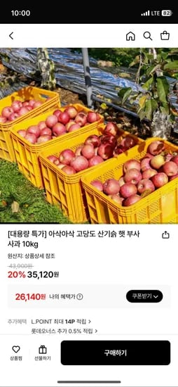 부사사과 0kg 70-79과 1