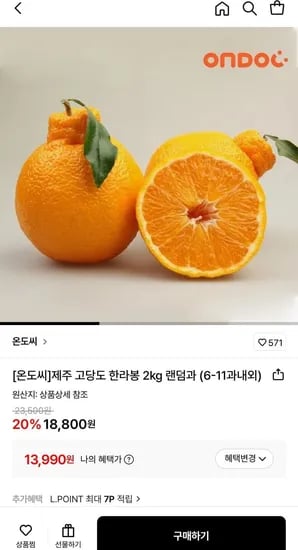 제주 고당도 한라봉 2kg 랜덤과 6-11과내외