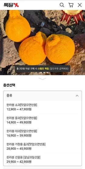 제주 한라봉 소과 2kg