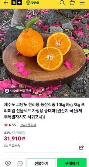 제주 한라봉 중대과 10kg