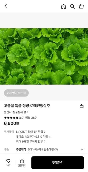로메인 청상추 1kg