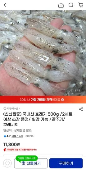 국내산 호래기 500g