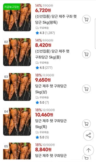 제주 구좌 햇 당근 5kg 왕특