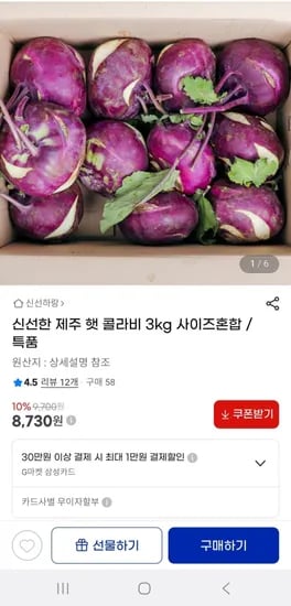제주 햇콜라비 3kg