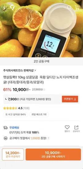 제주 노지 타이벡 감귤 10kg