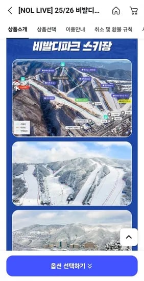 비발디파크 리프트권