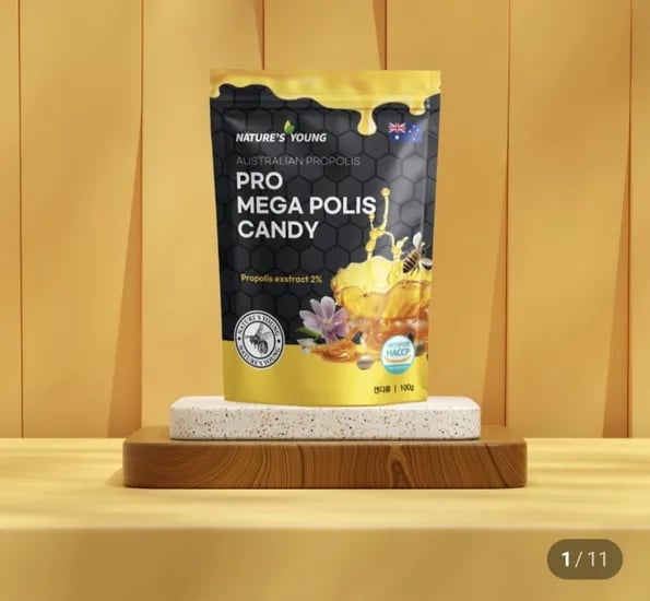네이쳐스영 프로폴리스 캔디 100g