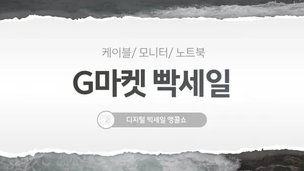 빡세일 디지털 모니터 23종
